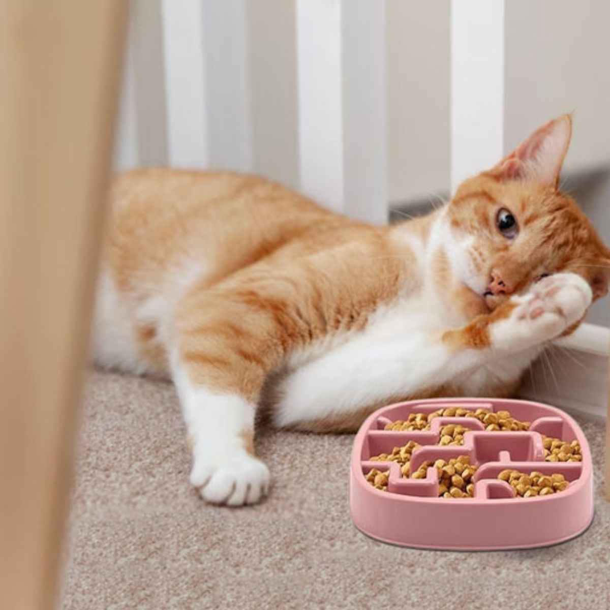 Chat roux allongé à côté de la gamelle anti-glouton rose CalmiCroq™.