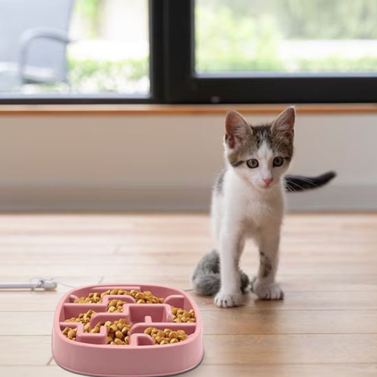 Chaton à côté de la gamelle anti-glouton rose CalmiCroq™.