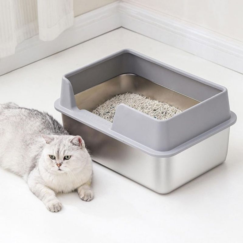 Chat entrant dans un bac à litière inox avec rebords ergonomiques antidérapants