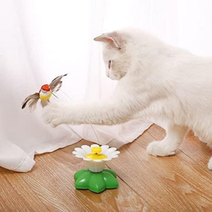 Expression de bonheur félin grâce au jouet Papilune™ – l’anti-frustration idéal pour chats d’intérieur