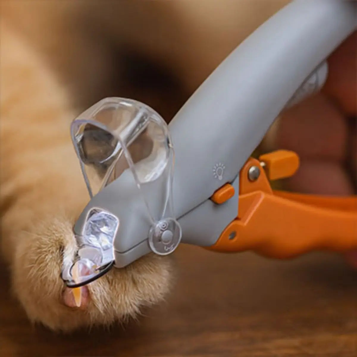 coupe griffe pour chat avec lumière intégrée pour une coupe précise et sécurisée