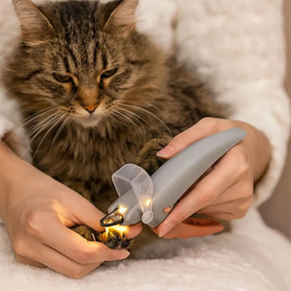 coupe griffe pour chat avec lumière LED pour une coupe précise et sécurisée - intérieur moderne