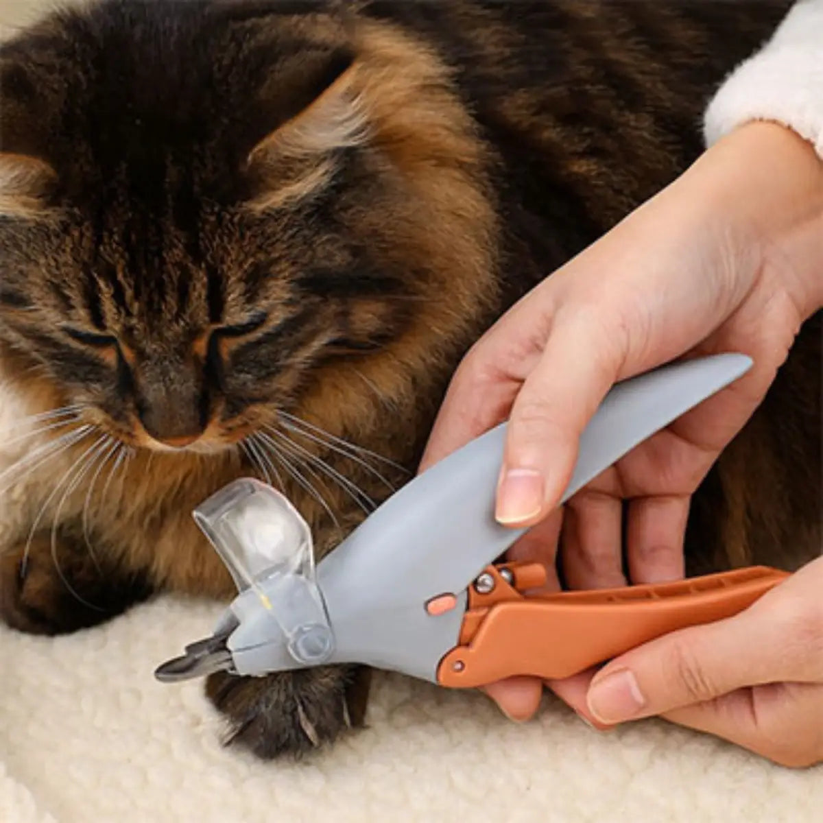 coupe griffe pour chat avec design ergonomique et sécurisé