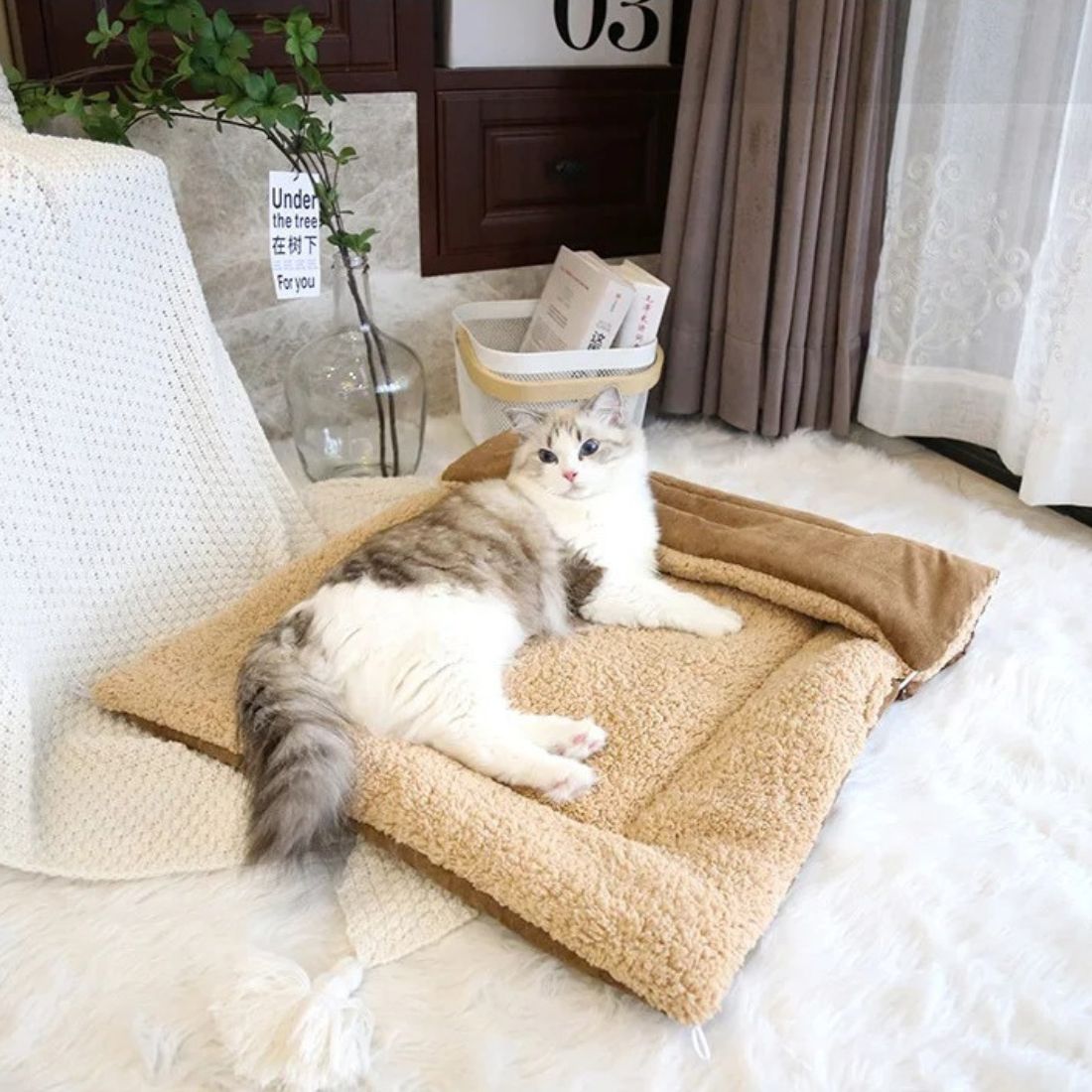 coussin chat modulable et confortable pour chat d'intérieur