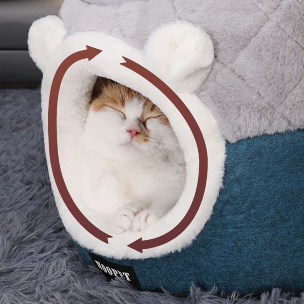 gros plan sur chat détendu blotti dans un coussin pour chat fermé