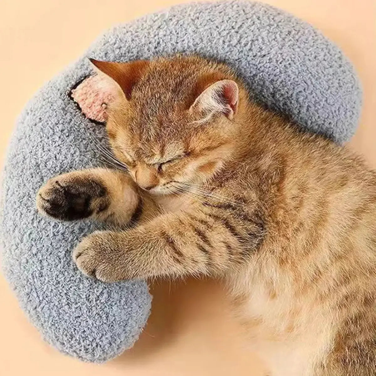 coussin pour chat confortable et doux pour un repos optimal