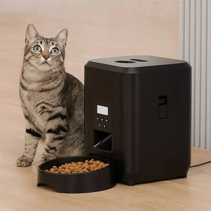 Chat nourri à l’heure par un distributeur automatique de croquettes, portions réglables pour contrôler le poids