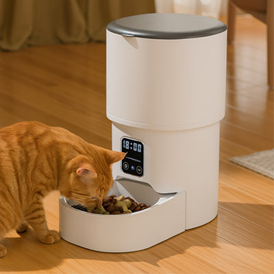 Distributeur de croquettes pour chat automatique avec écran digital, repas programmés à 18:00.