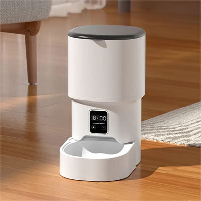 Distributeur automatique croquettes chat programmable, design compact pour intérieur moderne.