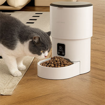 Distributeur de croquettes pour chat avec réservoir hermétique grande capacité, croquettes fraîches.