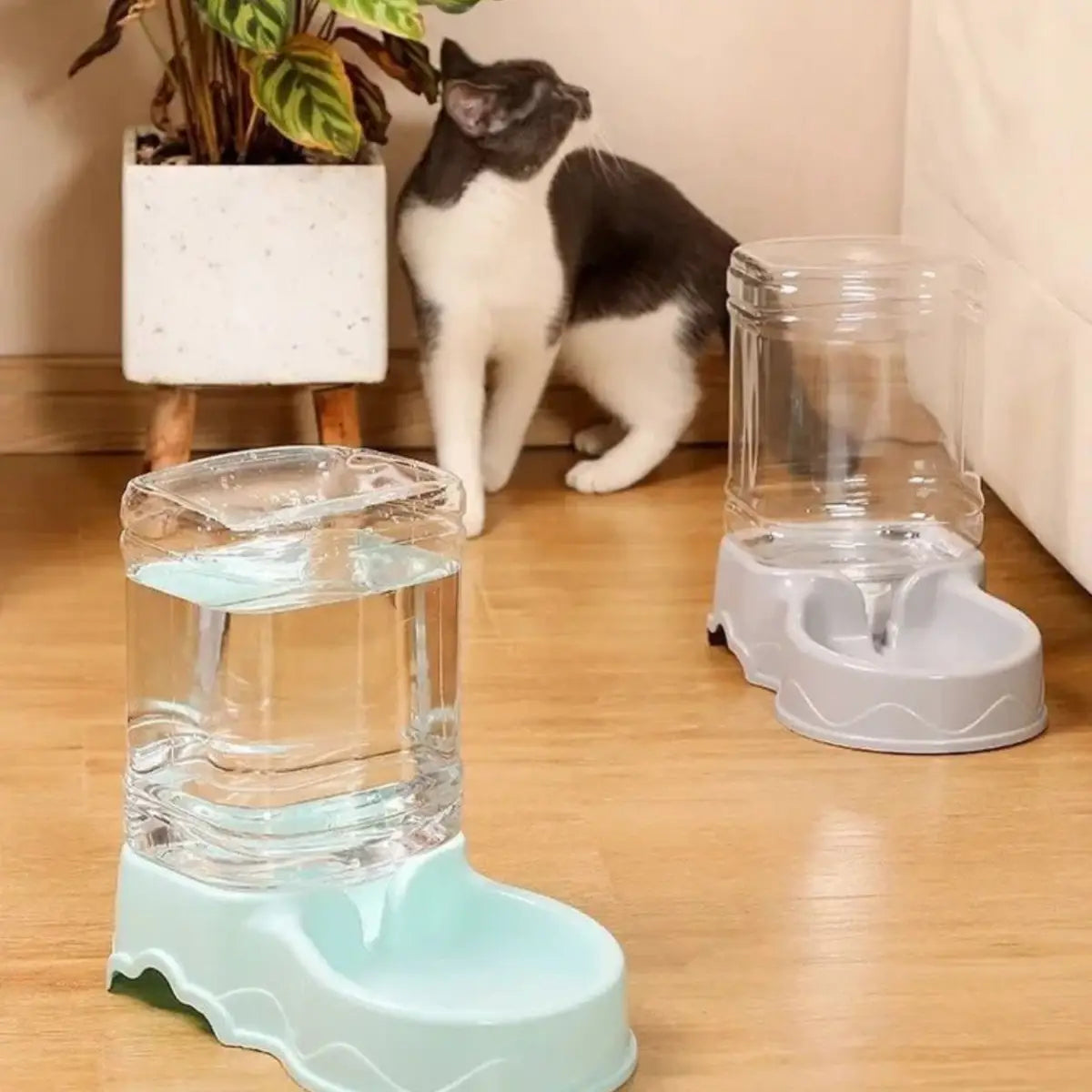 distributeur de croquettes pour chat CasaDuo avec réservoir d'eau et design pratique