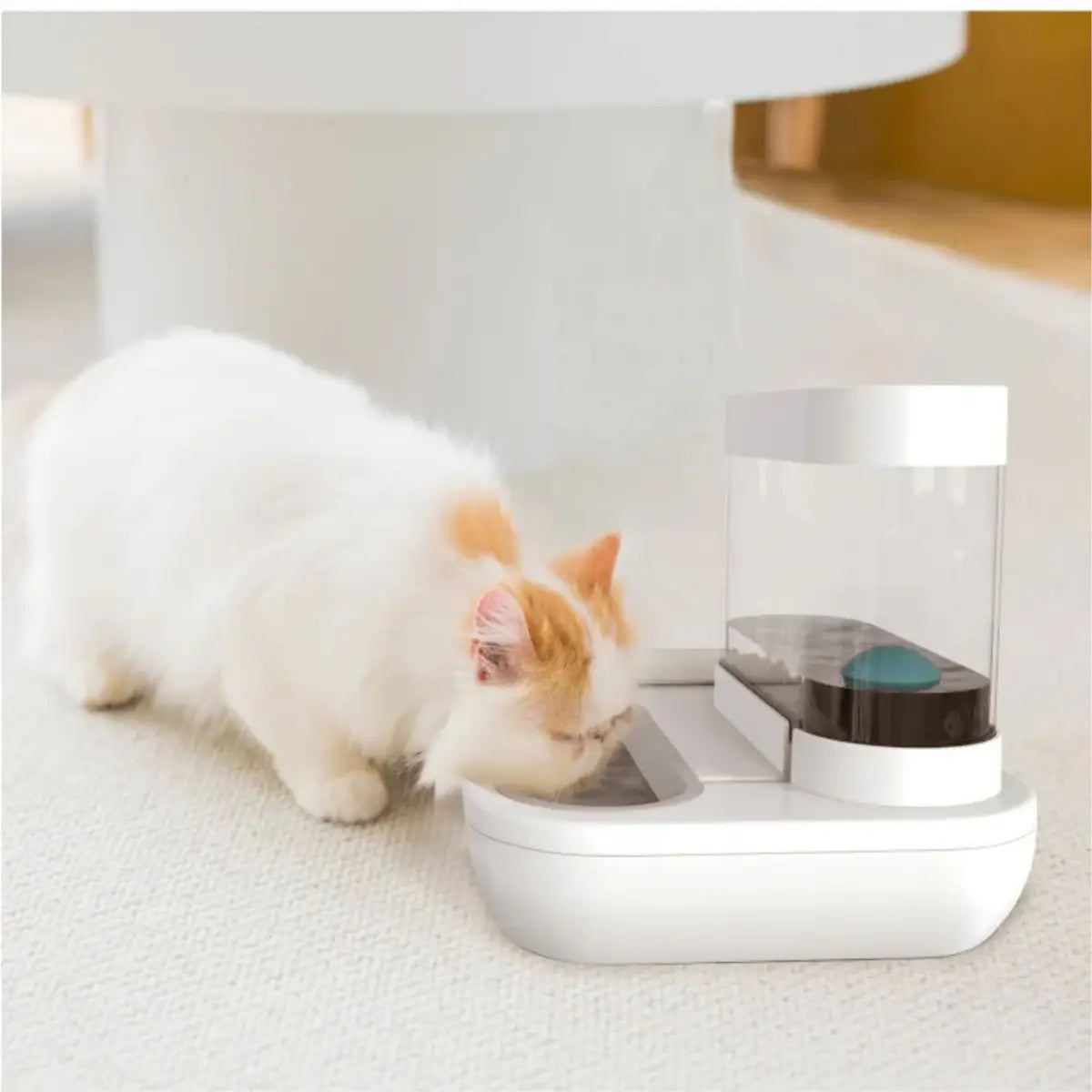 distributeur de croquettes pour chat CasaDuo™ avec design moderne et chat en train de manger - vue latérale