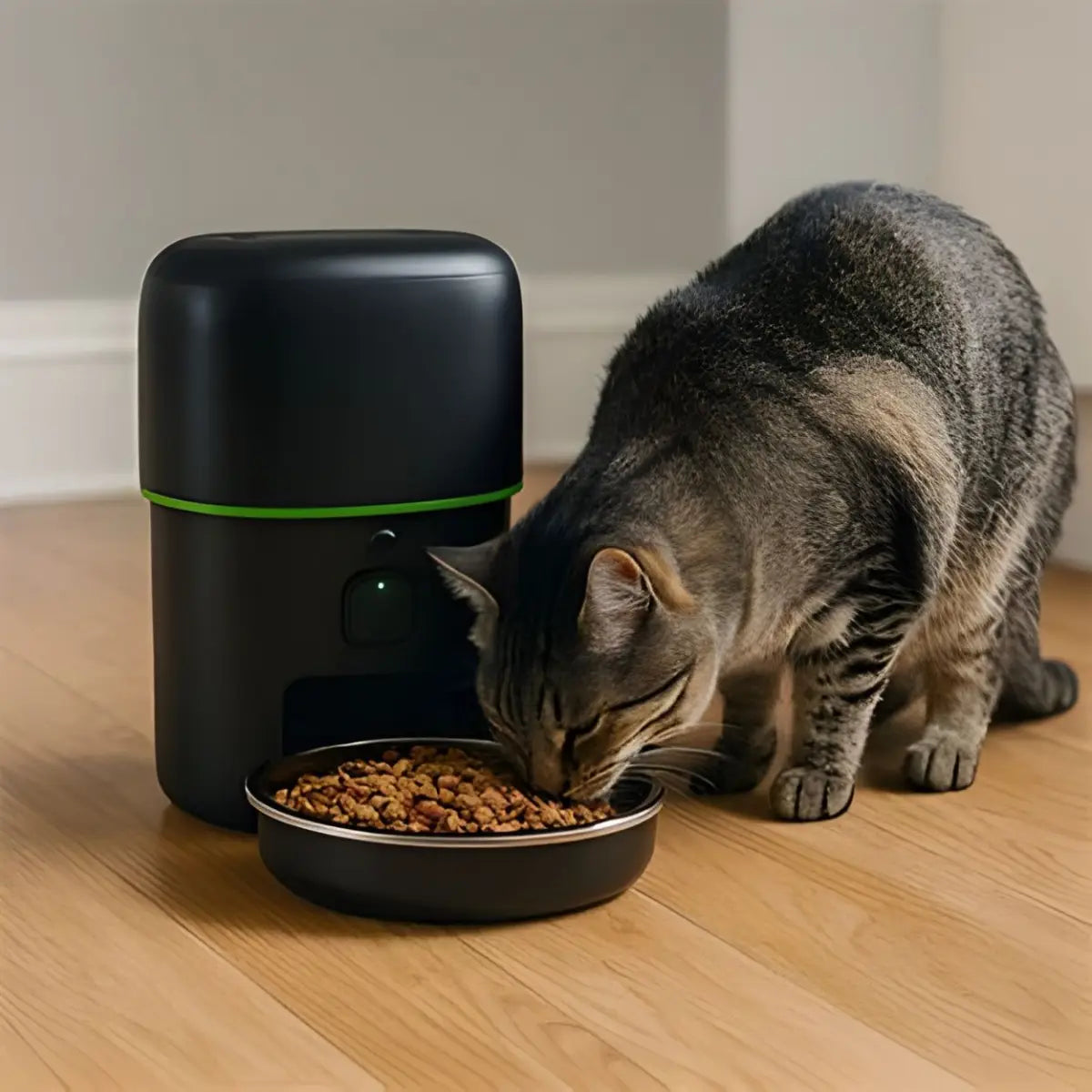 distributeur de croquettes pour chat connecté avec caméra et bol, idéal pour nourrir votre animal.