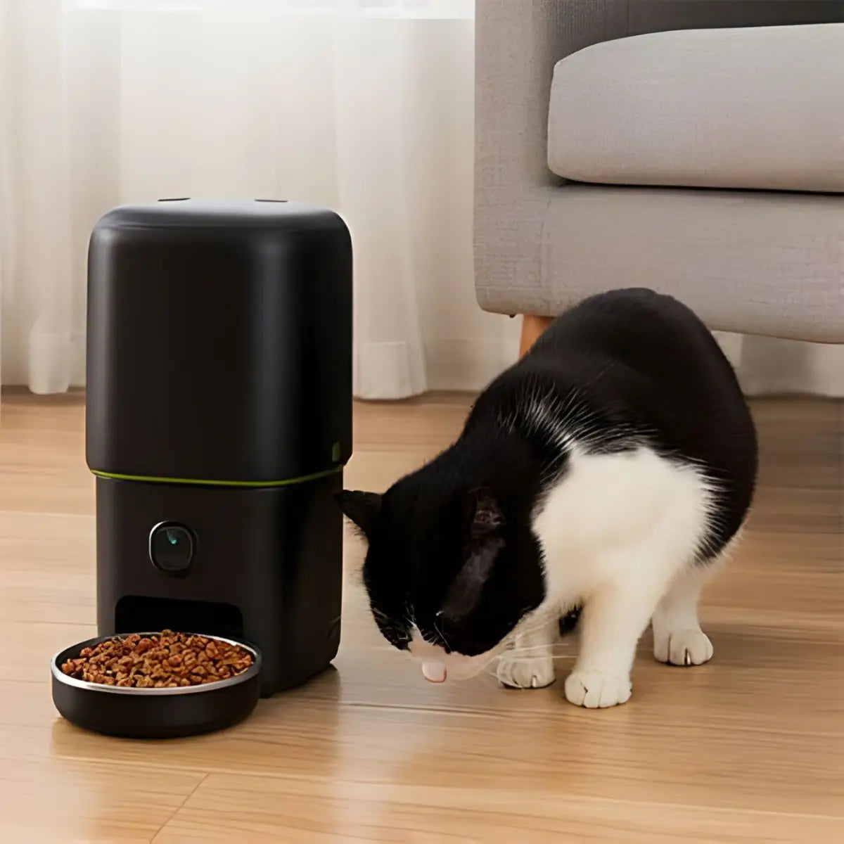 Distributeur de croquettes pour chat connecté avec caméra et bol de croquettes. - fond neutre