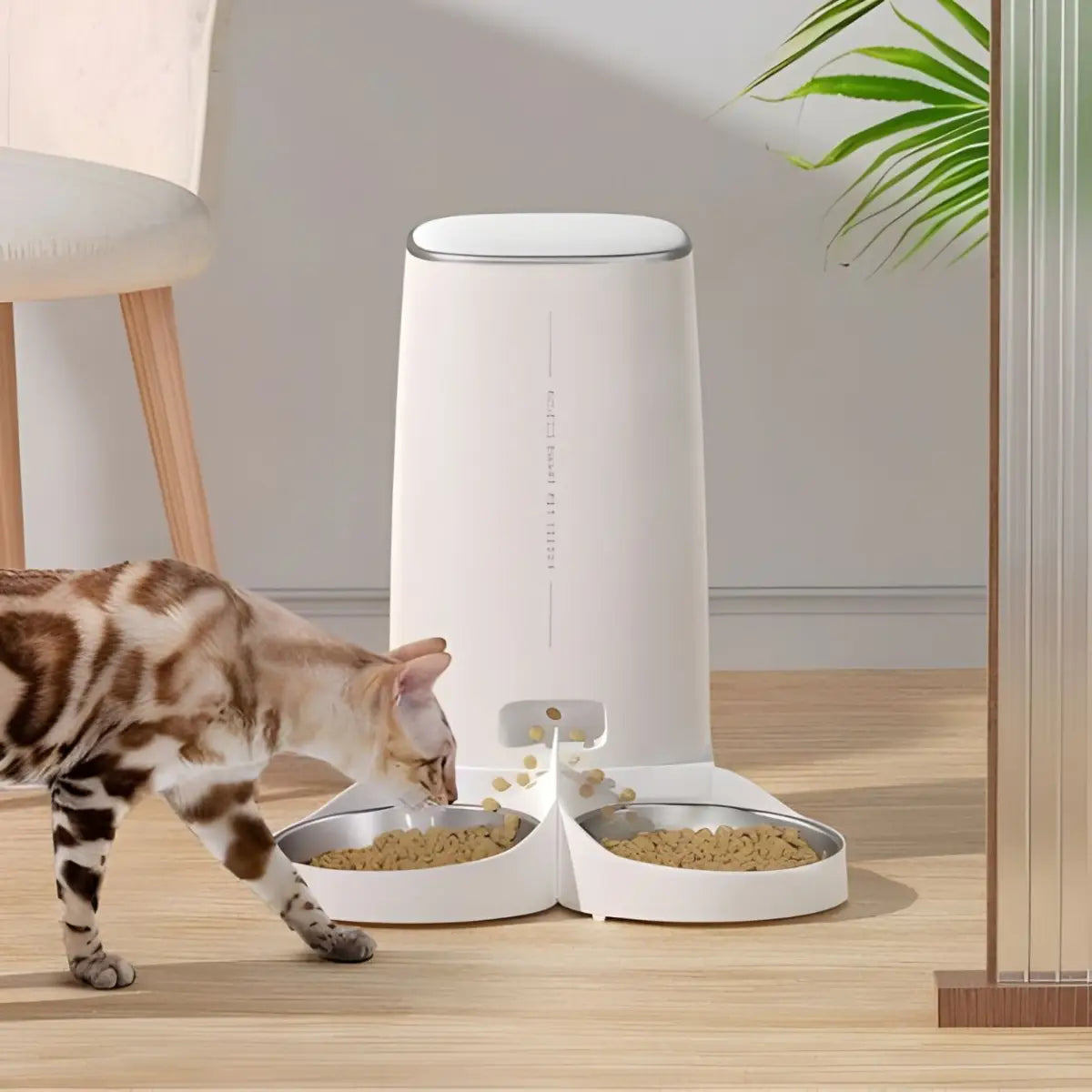 distributeur de croquettes pour chat moderne avec double gamelle et chat en train de manger