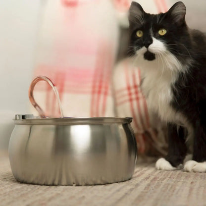 Distributeur d'eau pour chat en inox au design moderne et épuré, s'intégrant parfaitement dans un intérieur cosy à côté d'un chat à poil long.