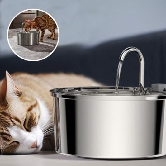 Chat couché à côté de la fontaine AquaPure illustrant hydratation et bien-être