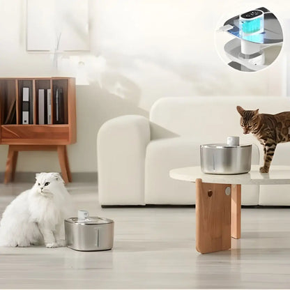 fontaine a eau chat APETDOLA avec capteur de mouvement 120 deg, zone de détection illustrée au sol.