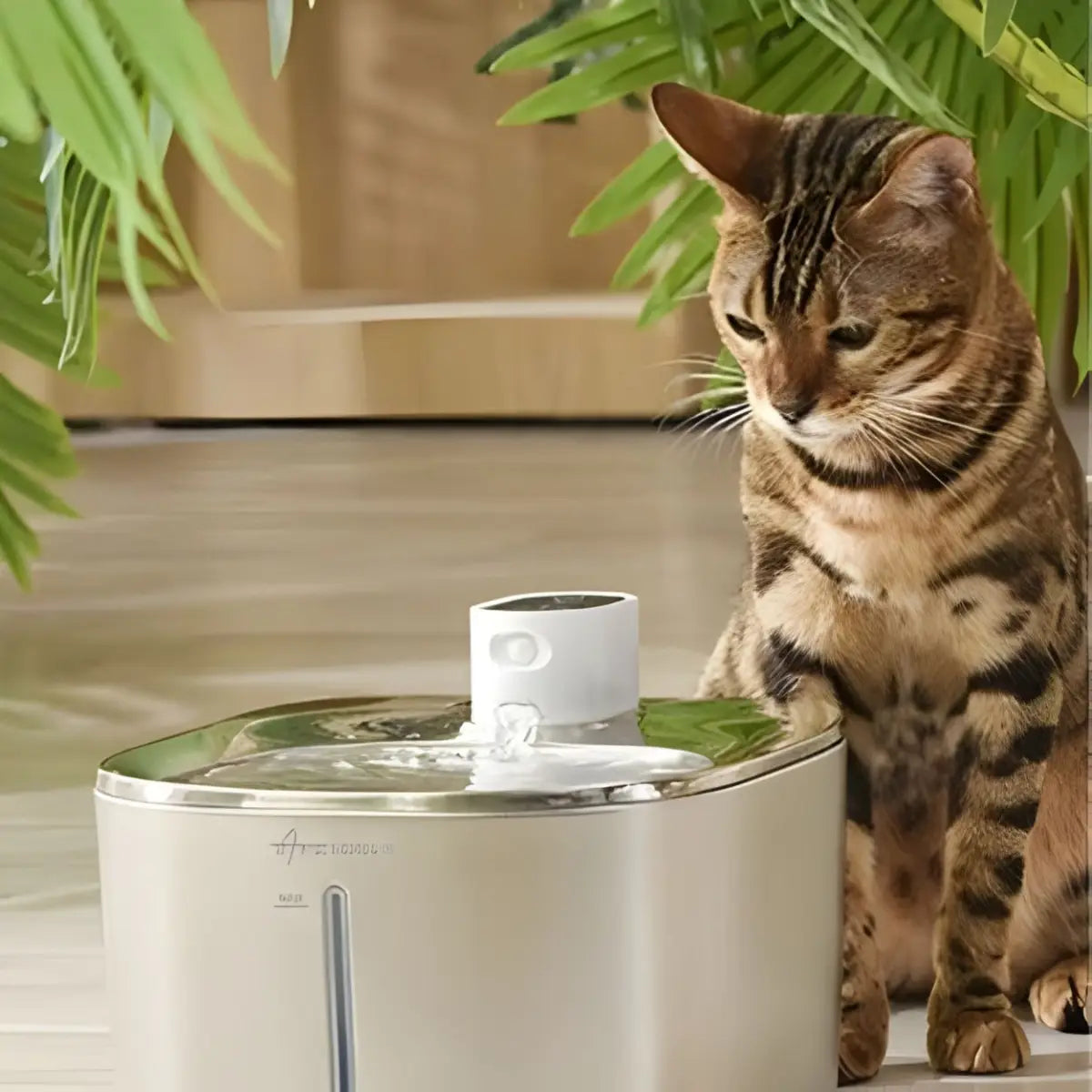 fontaine a eau chat APETDOLA en inox, chat bengal qui boit, design arrondi avec indicateur de niveau.