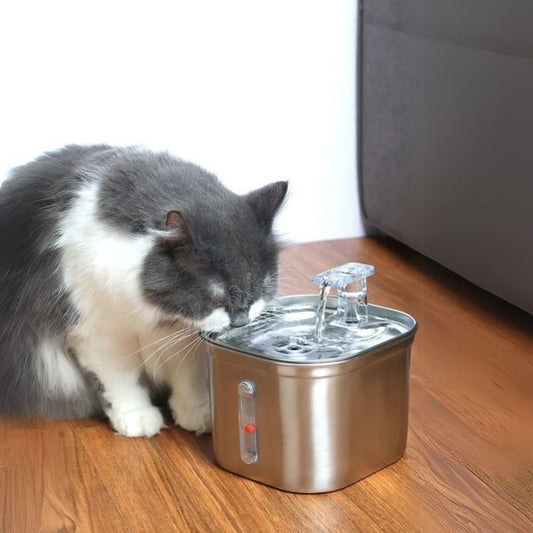 fontaine a eau chat aquazen buant de face
