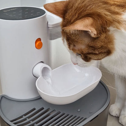 fontaine à eau chat avec bec verseur et bol incliné anti-éclaboussures