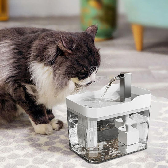 fontaine à eau pour chat blanche avec filtration multicouche et bec robinet
