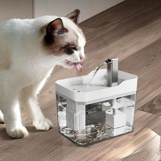 fontaine à eau pour chat blanche, réservoir transparent, flux d’eau continu