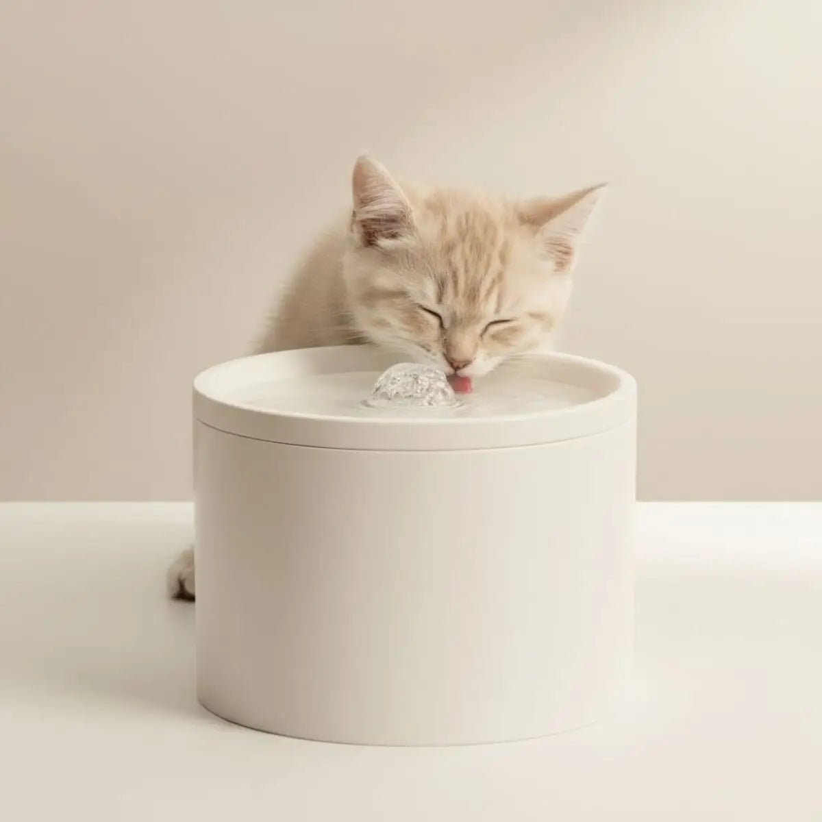 Chat roux buvant à la fontaine CeraStream, jet doux visible, corps cylindrique blanc posé sur parquet.