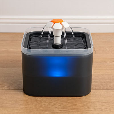 fontaine à eau pour chat DaisyFlow™ avec LED bleue et jets multiples, eau fraîche et filtrée