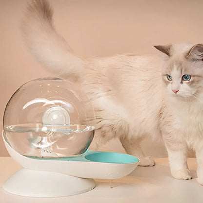 fontaine a eau chat design moderne avec bol turquoise et chat blanc élégant