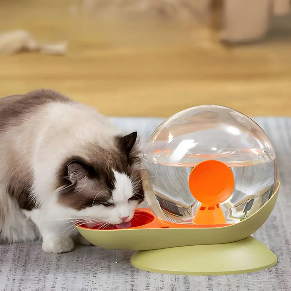 fontaine a eau chat design moderne avec bol transparent et chat buvant