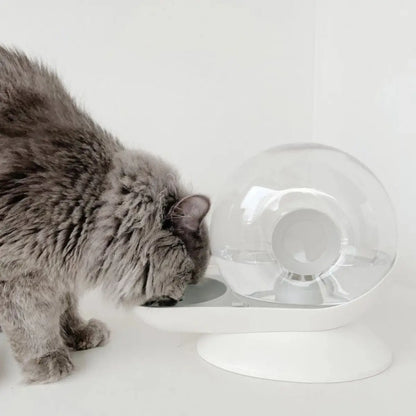 fontaine a eau chat moderne avec un design élégant et un chat gris en train de boire