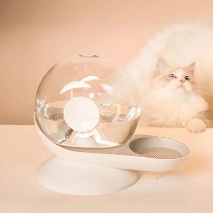 fontaine a eau chat design moderne avec bol sphérique, idéal pour hydrater votre animal.