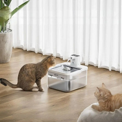 fontaine a eau chat DownyPaws blanche dans un salon lumineux, deux chats observant le jet d’eau près de la fenêtre.