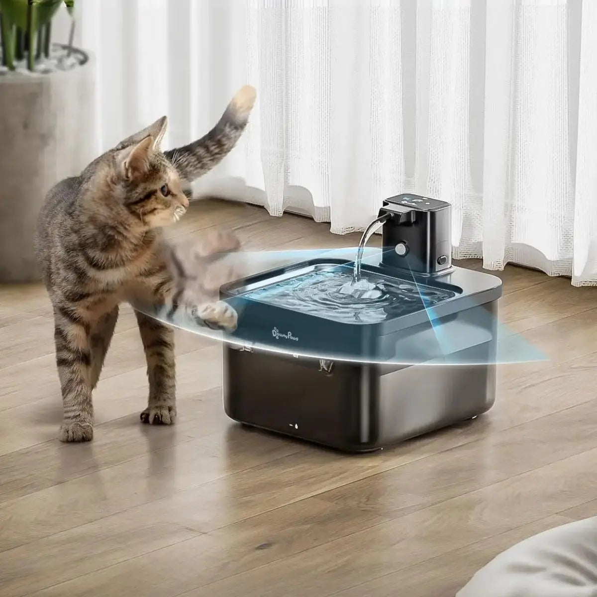 fontaine a eau chat DownyPaws noire sur parquet, deux chats face au jet d’eau près des rideaux.