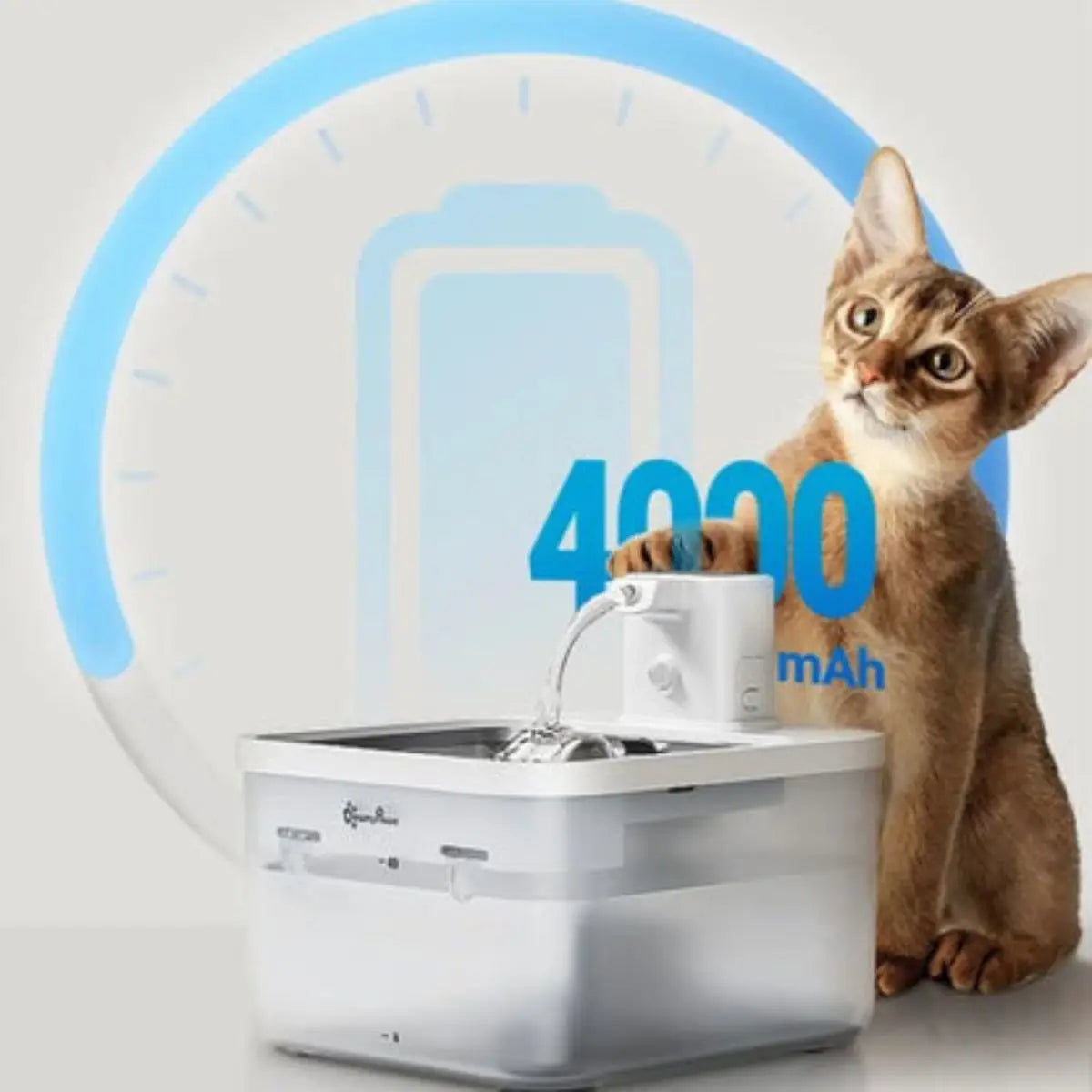 fontaine a eau chat DownyPaws noire avec zone d’utilisation illustrée autour du plateau, chat tigré à proximité.