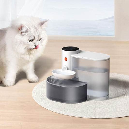 fontaine à eau chat avec filtration et cascade qui stimule l’hydratation