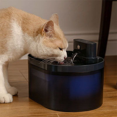 fontaine à eau chat SilenFlow, chat roux qui boit au jet, réservoir translucide noir