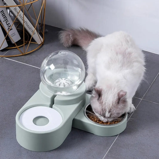 fontaine a eau chat GravityDuo avec design moderne et bol pour nourriture