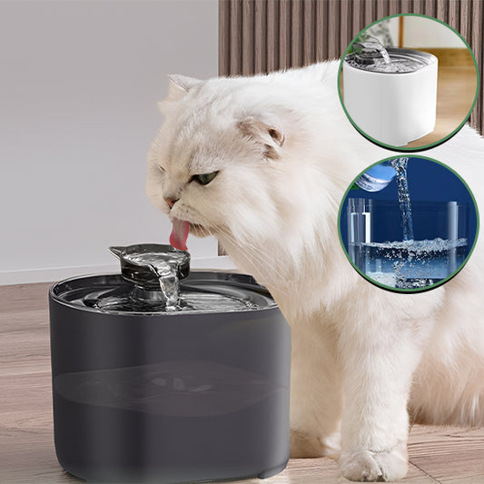 Fontaine à eau chat grise, remplissage facile et filtration continue, entretien simplifié