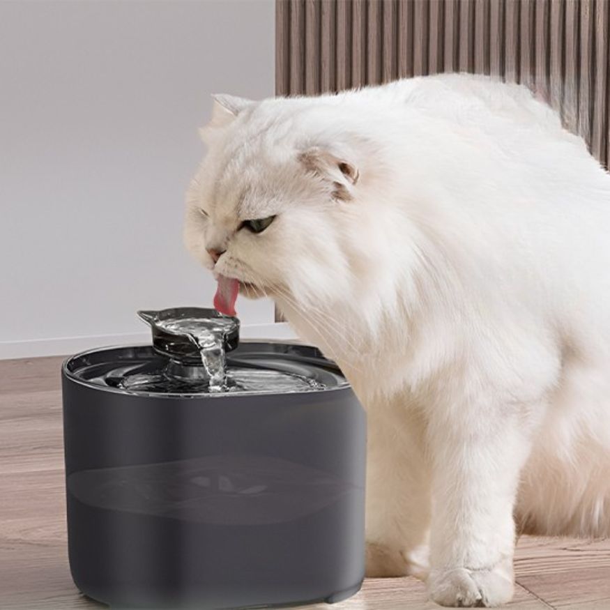 Fontaine à eau chat grise, remplissage facile et filtration continue, entretien simplifié