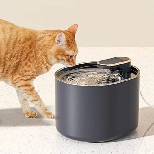 fontaine a eau chat design moderne pour hydratation optimale des félins - fond neutre