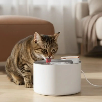 fontaine a eau chat moderne pour garder votre animal hydraté avec design élégant et pratique - intérieur moderne