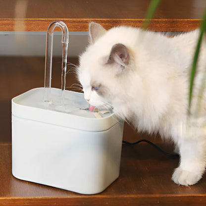 fontaine a eau chat hydroFlow chat blanc buvant