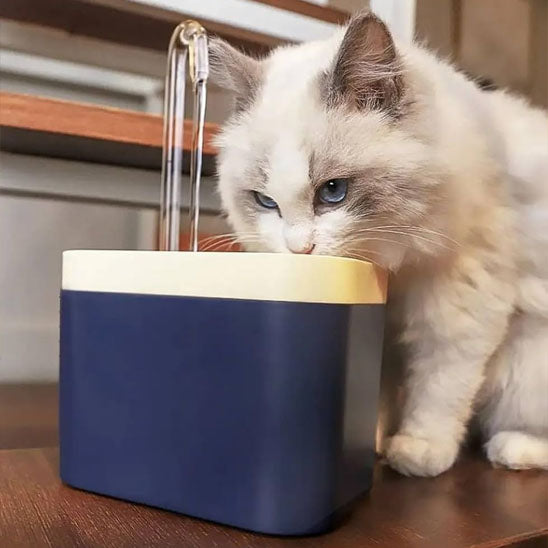 fontaine a eau chat hydroFlow bleu chat buvant
