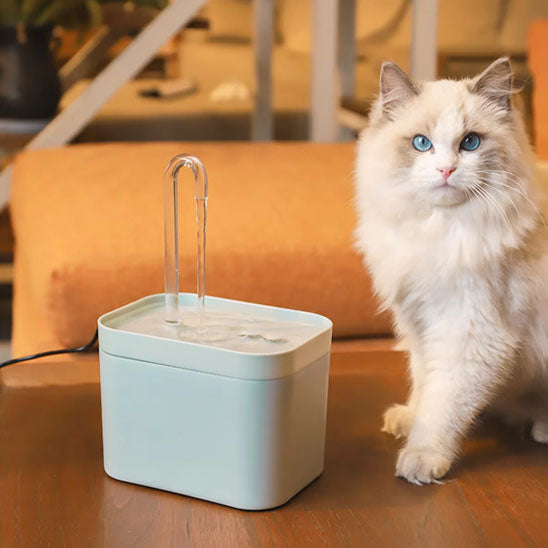 fontaine a eau chat hydroFlow blanc avec chat