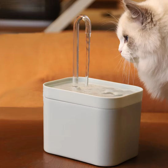 fontaine a eau chat hydroFlow blanc avec chat de profile