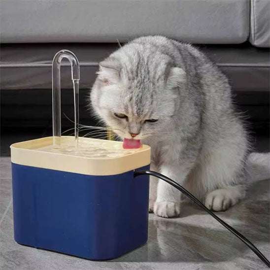 fontaine a eau chat hydroFlow bleu chat gris buvant