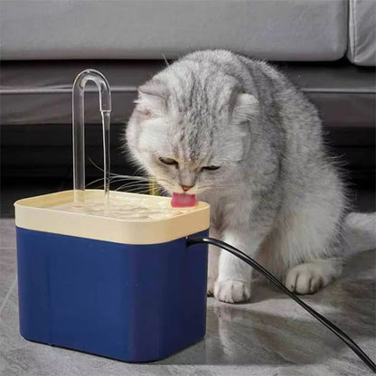 fontaine a eau chat hydroFlow bleu chat gris buvant