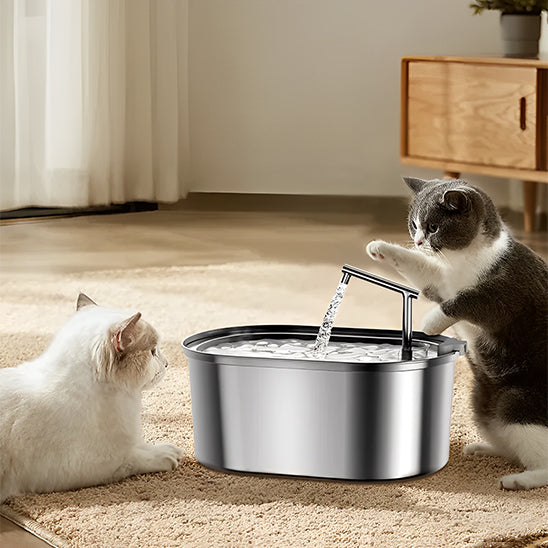 Gros plan d’un chat buvant à une fontaine eau inox 304, bec cascade